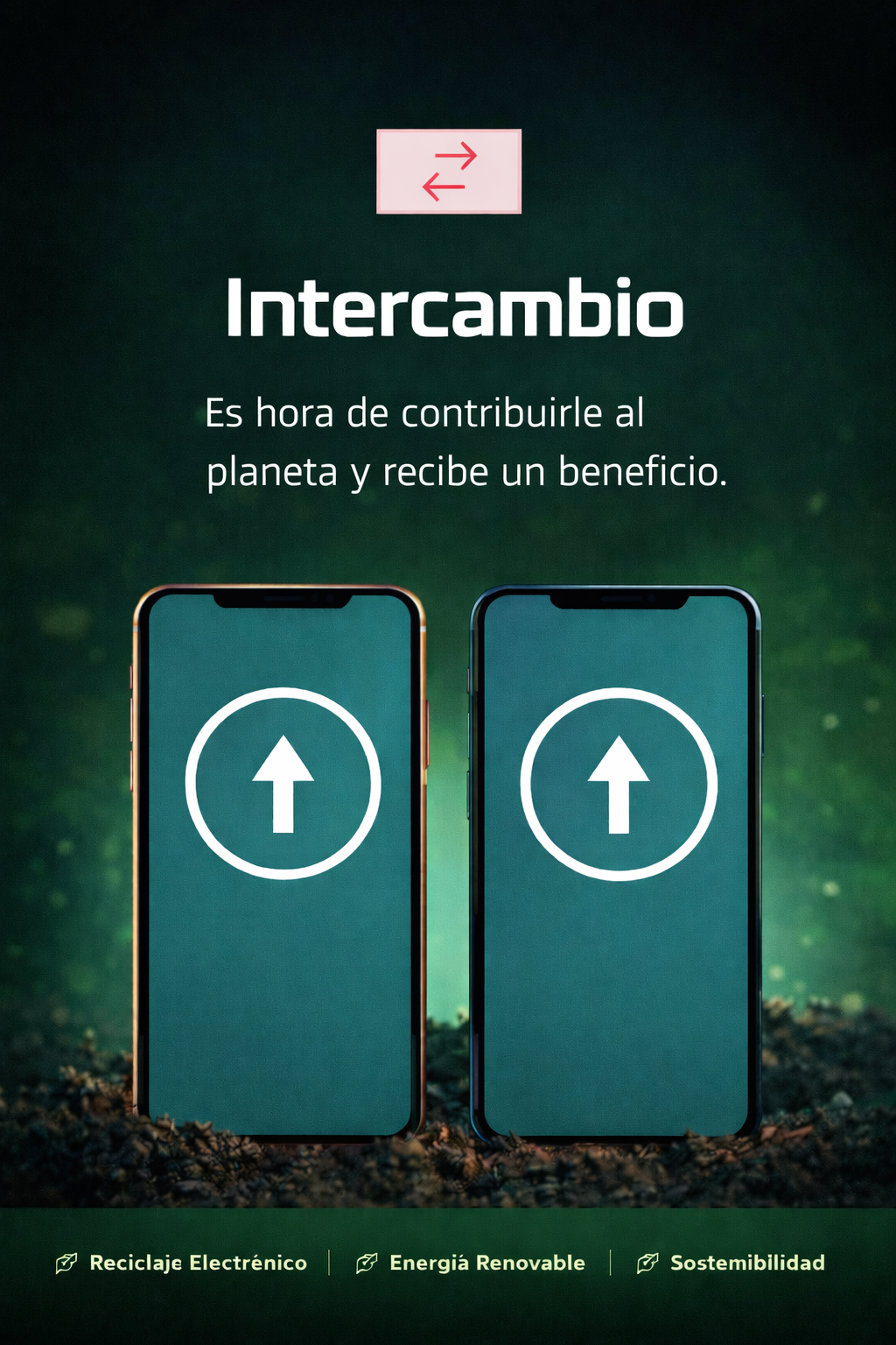 Programa de Reciclaje